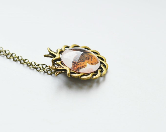 IN THE FOREST Round necklace of metal brass with depiction of butterflies under glass