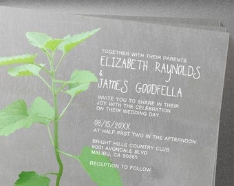 Catmint Wedding invites