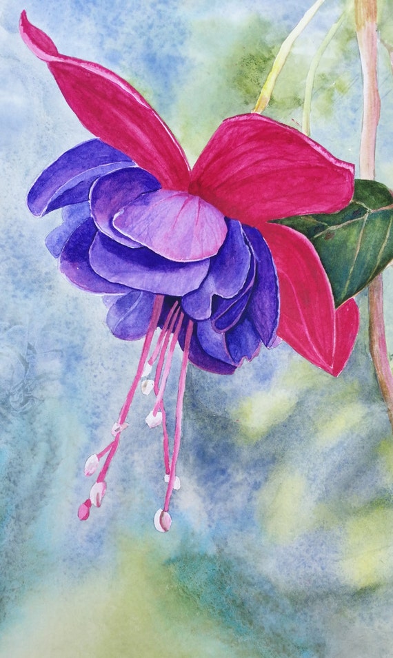 Watercolor Print Fuchsia from original art by SchaferArtStudio