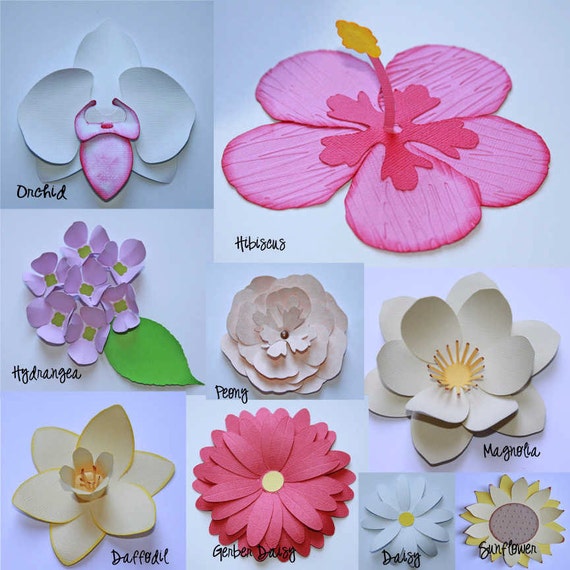 3D Flowers Vector Art SVG Files