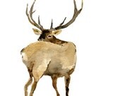 Elk art print of original watercolor painting, wild life, animal art, elk, deer art print, woodland art, wild west, original art, wild life