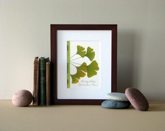 Pressed flower print, 8" x 10" matted, Ginkgo leaves, green leaf, pressed leaves, Ginkgo wall art, no. 018