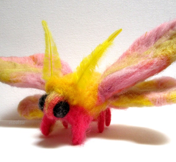 Rosy maple moth needle felted bug art fiber sculpture by nodsu