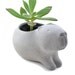 Cute concrete capybara planter/ vase for succulent plants - gray