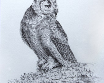 Items similar to Midnight Owl - Graphite Pencil Drawing Print on Etsy