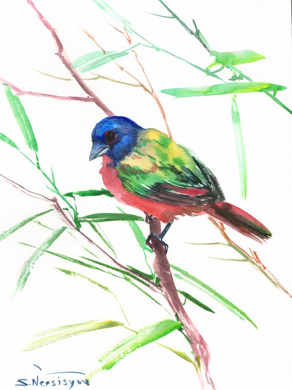 Painted Bunting Original watercolor painting 12 X 9 in