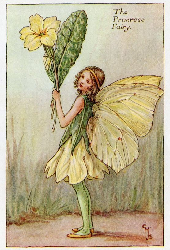 Primrose Flower Fairy Vintage Print c.1927 Cicely Mary Barker