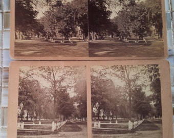 Stereoscope cards | Etsy