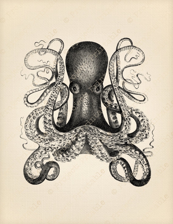 vintage octopus clipart - photo #25