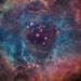 indigogirl88