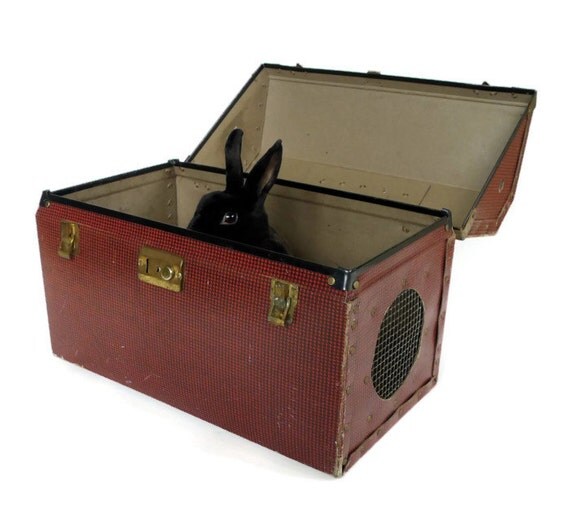 Vintage Pet Carrier Red and Black Houndstooth