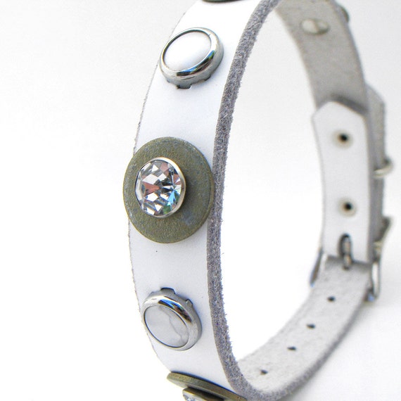 how to clean dog collar