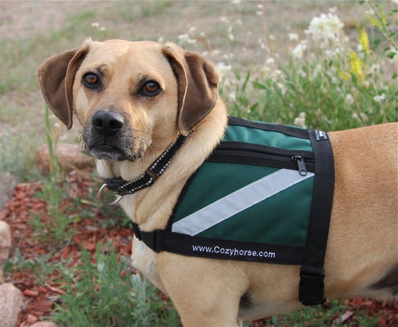 SERVICE DOG Vest small to medium dog Hunter Green water