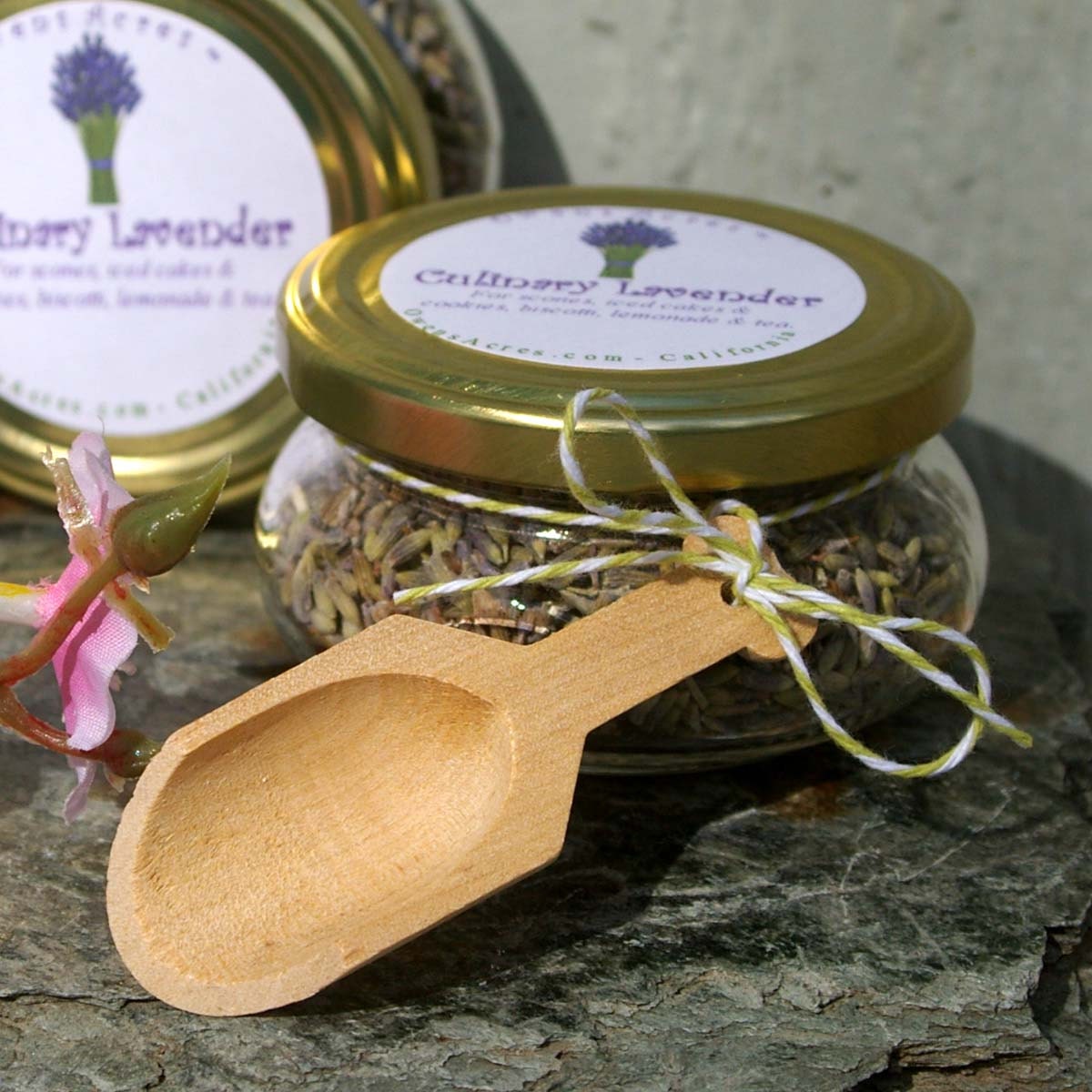 Culinary Lavender Cooking Lavender Edible Lavender by OwensAcres