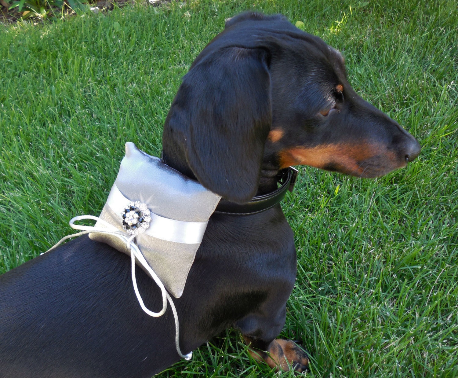 Dog Ring Bearer Engagement Pillow Rhinestone Collar Silver