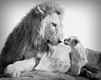 SAFARI BABY ANIMAL Photography, Set of 4 Black and White Photos, Elephant, Lion, Cheetah, Giraffe, Animal Photography, Baby Shower, African