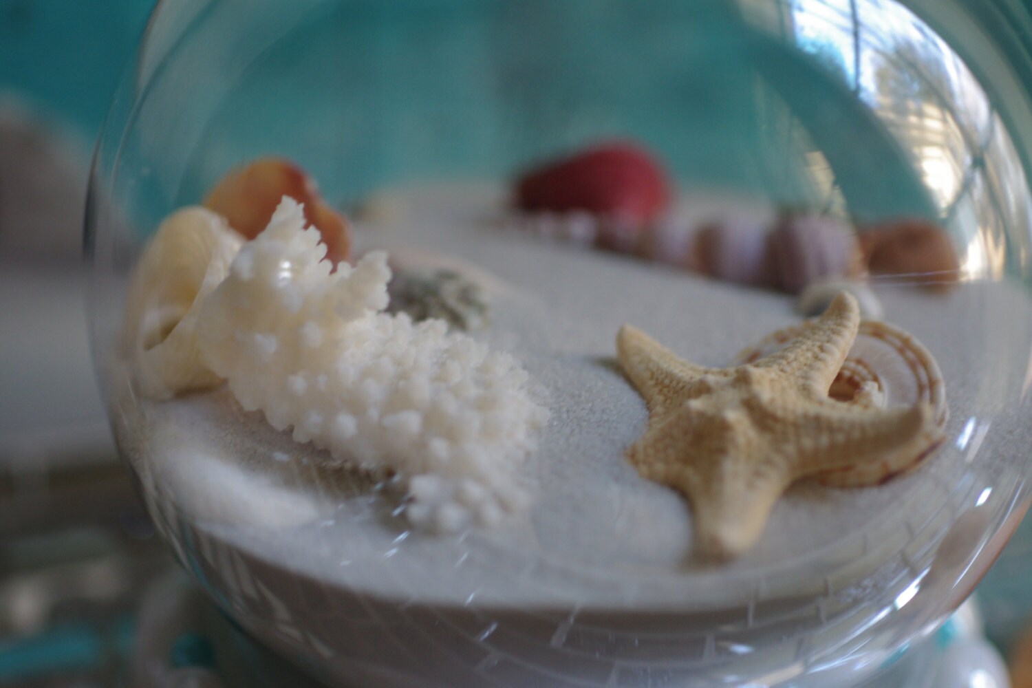 Beach Sand Globe Snow Globe Holiday Beach Decor White