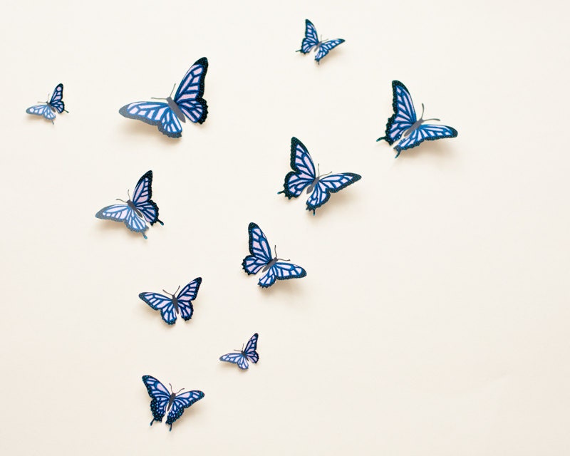 3D wall butterflies Butterfly wall art illustrated