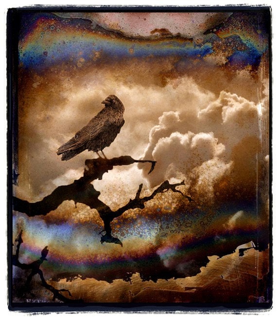 Crow, nature photography, photo collage, Bird, Raven, Stormy, Clouds, Sepia, Brown, gothic, Fine Art Print 8x10