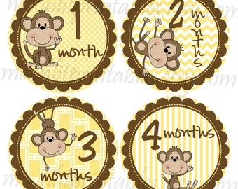 Monkey Baby Stickers, Milestone Stickers, Month to Month Stickers, Monkey Photo Prop, Baby Shower Monkey, Monkey Nursery Decor (180)