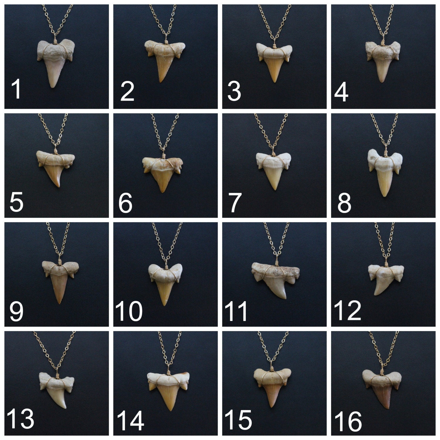 Fossilized Shark Tooth Necklace Gold Shark Tooth Necklace