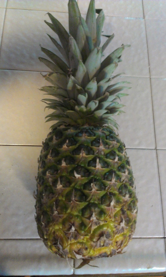 Items Similar To Pineapple Seeds Tropical Fruit On Etsy