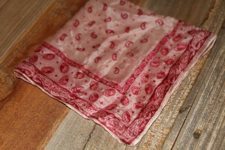 Vintage Hankie Handkerchief Pink Floral Design – Haute Juice