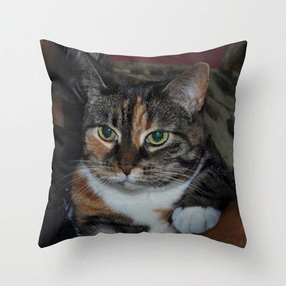 calico cat pillow pet