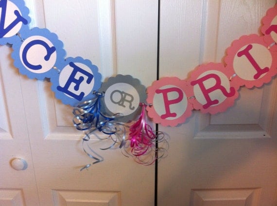 Download Gender Reveal Party Decorations Prince or Princess