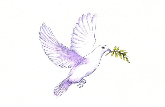 Peace Dove  Print  digital print  of a drawing available