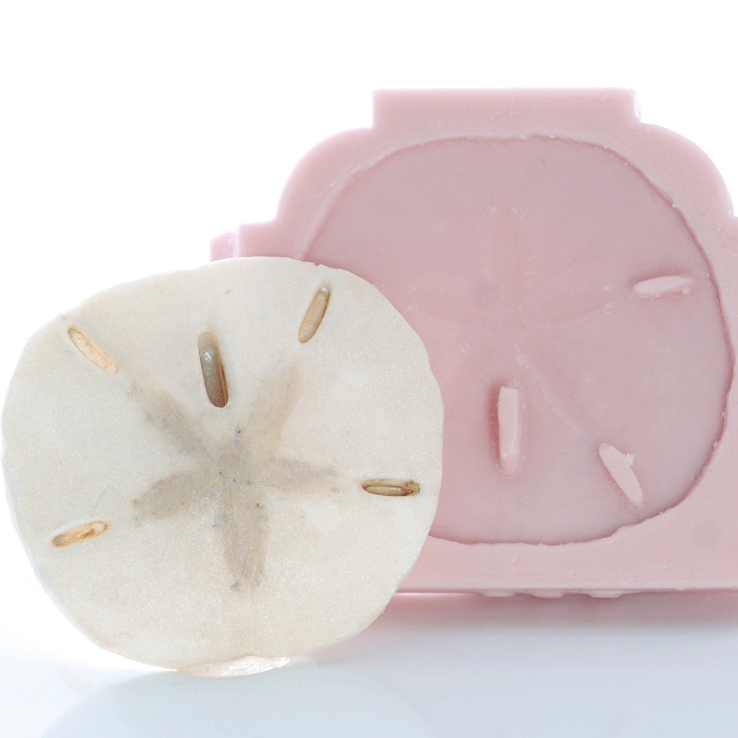 Silicone Mold Sand Dollar Craft Mold Resin Polymer Clay Metal