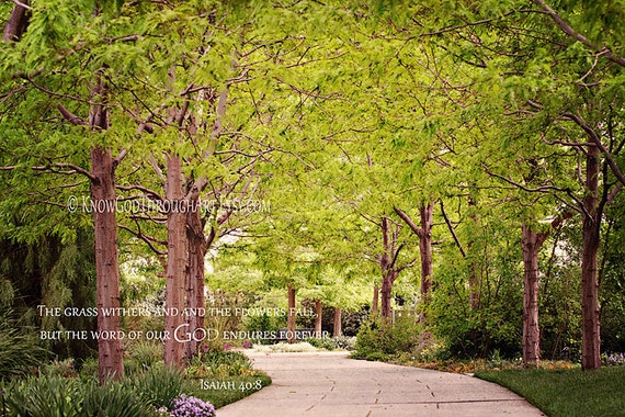 Items similar to Forest Nature Bible Verse Isaiah 40:8 Scripture Home ...