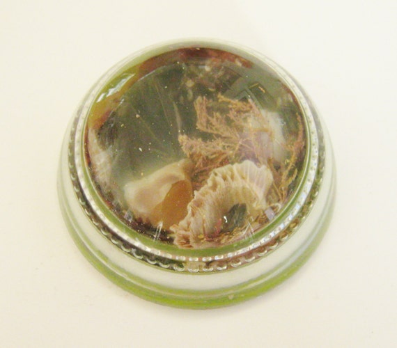 Shell Paperweight Art Glass Sea Shell Paper by kathleendaughan