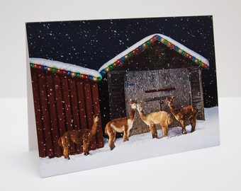 Alpacas Christmas / Holiday Photo Greeting Card