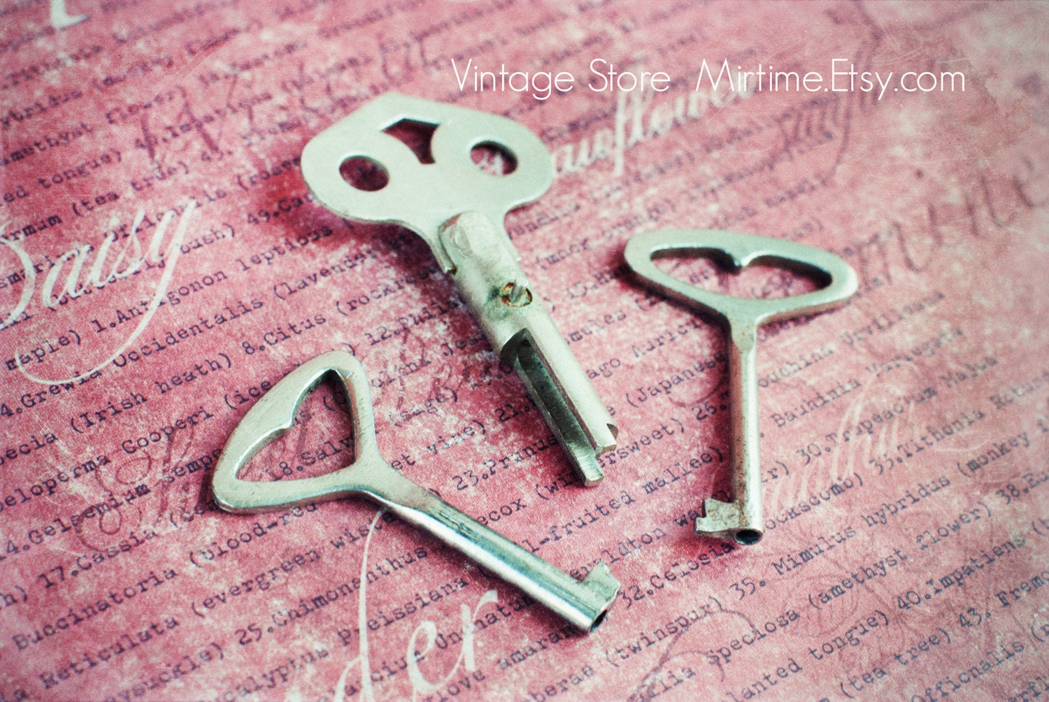 Vintage Skeleton Keys Set of 3 Old Metal Skeleton Keys Steampunk