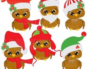80% OFF Christmas Owls clipart clipart, commercial use, vector graphics, digital clip art, digital images - AMB-352 Il_170x135