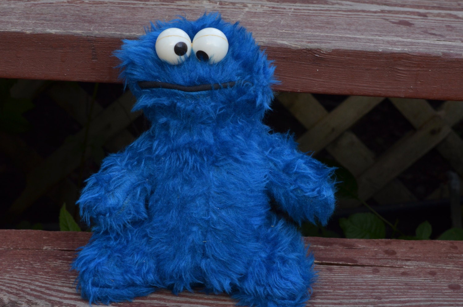 cookie monster stuffed animal kohls