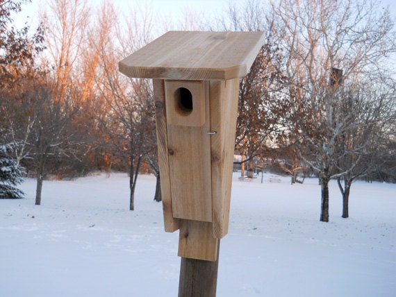Bluebird House - Cedar Birdhouse - Peterson Bluebird House With
