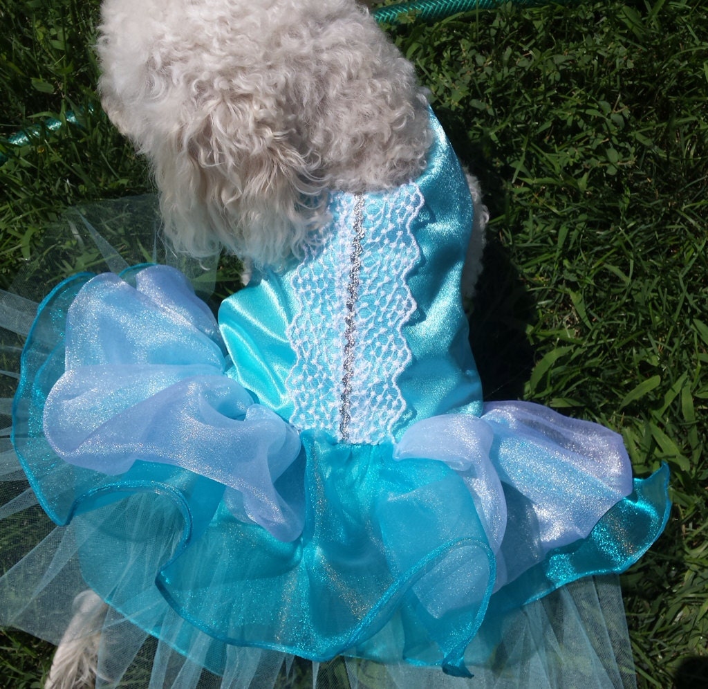 Cinderella Dog Costume