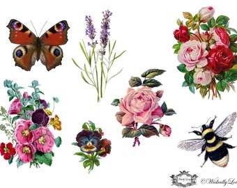 English Country Garden Wickedly Lovely Skin Art Temporary Tattoos (includes 7 tattoos)