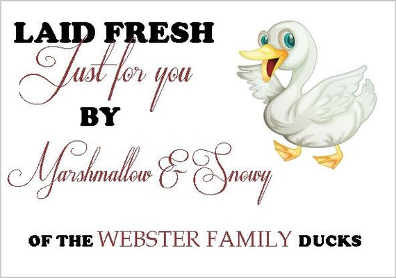 personalised duck egg carton labels to print at home a4