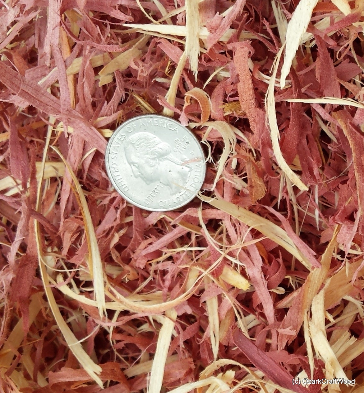 Premium Eastern Red Cedar Shavings Curly Shavings Good for