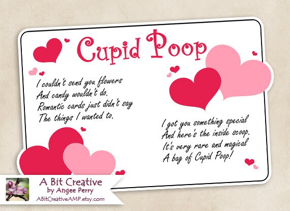 Cupid Poop Valentines Day Sweetheart Gag Gift Design DIY
