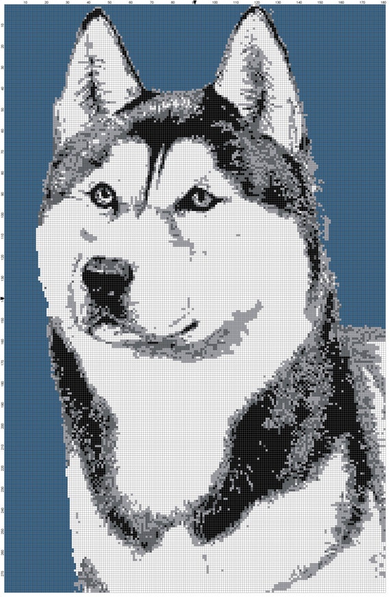 Siberian Husky blanket pattern