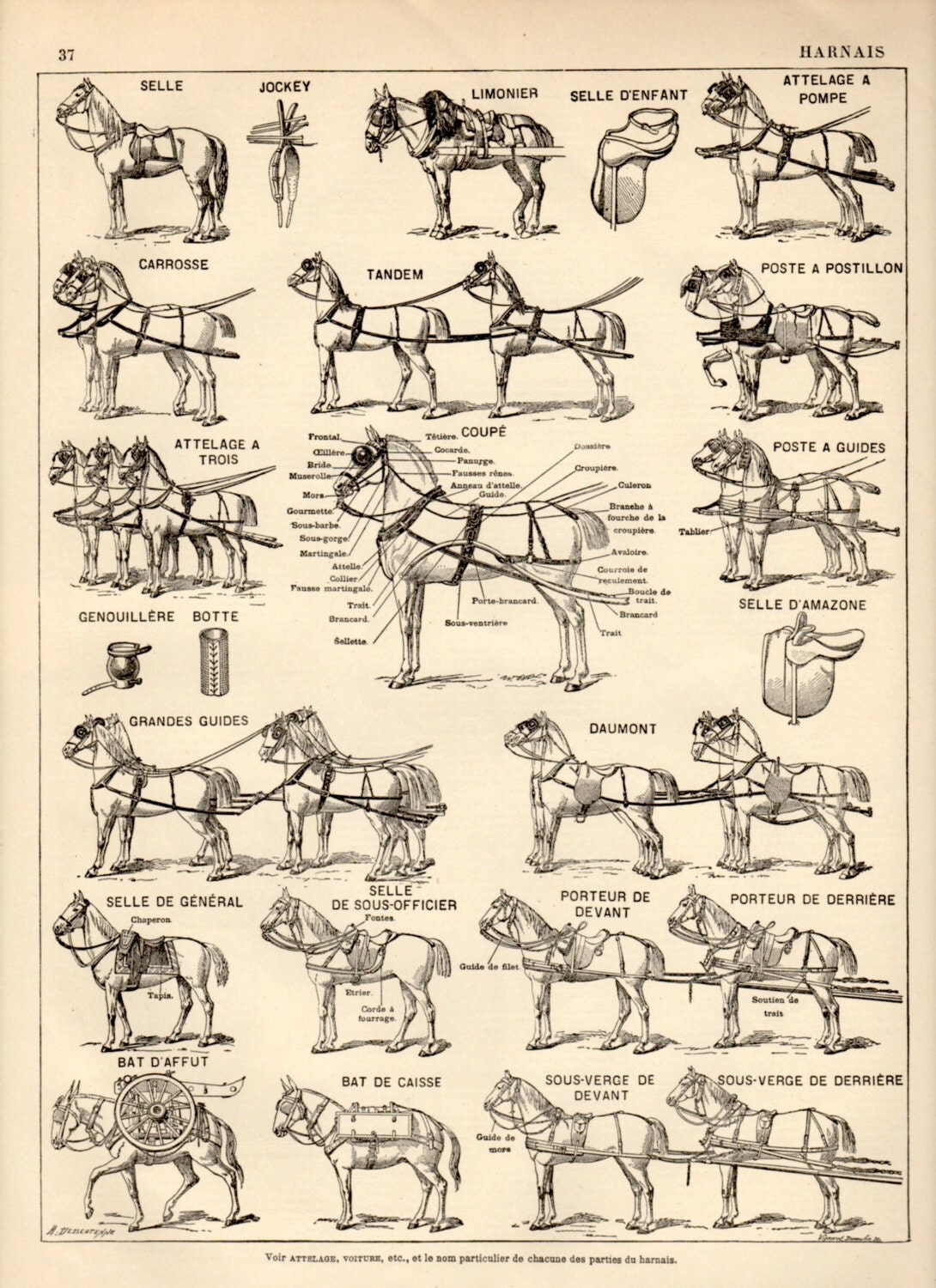 Horse Harness Antique Print 1897 Lithograph Draft Horse