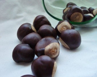 Seasoned Burgandy-Colored Buckeye Nuts, Assorted Size