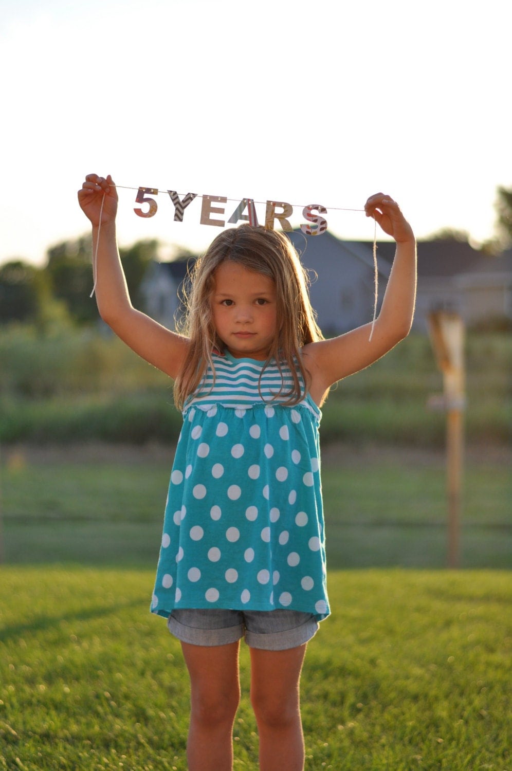 Birthday Banner age banner 5 year old banner photo prop