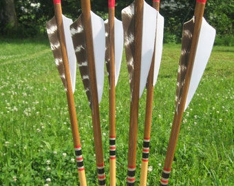 Wooden Archery Arrows, Set of 6, 40 to 45 Pound Spine, Stained, Crested ...