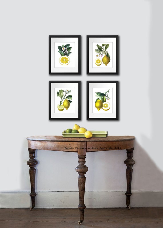 Kitchen Decor Lemons Print Kitchen Art Fruit Print. Citrus