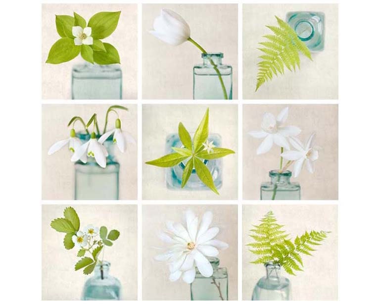 Botanical Print Set Flower Photography Art Set Green White